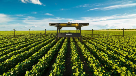 The Precision Harvest: Edge AI Compute - Agriculture in LatAm